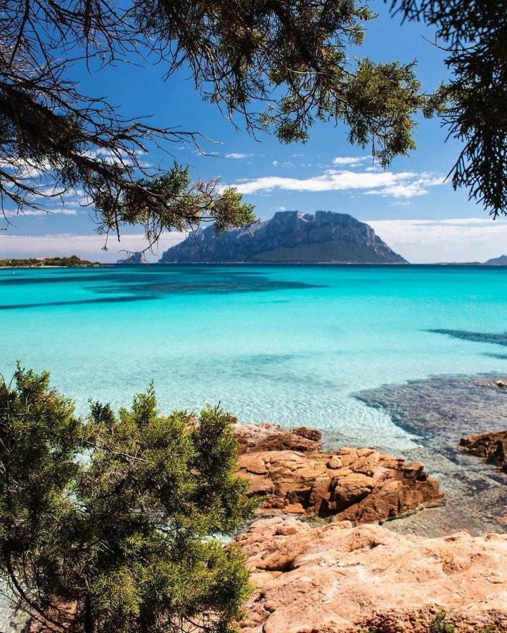 Porto Istana Beach House Ольбія Екстер'єр фото